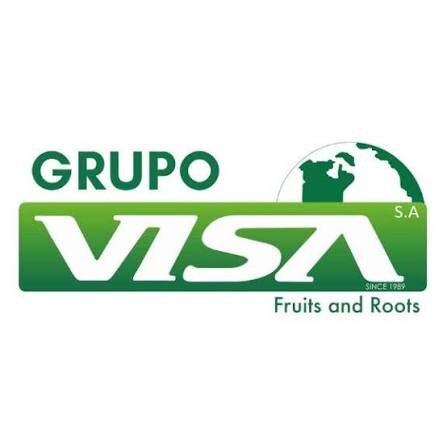 Logo Grupo VISA