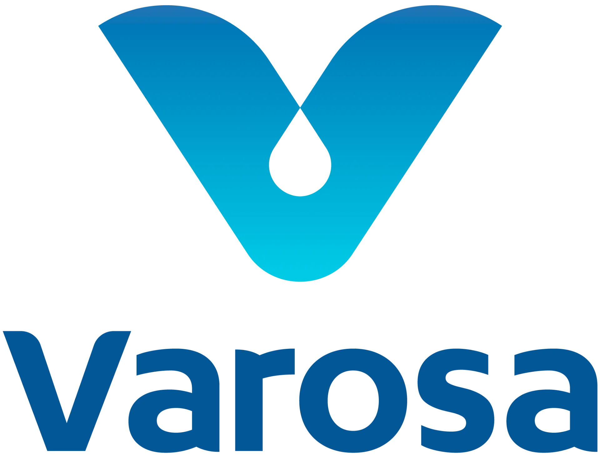 VAROSA — Ir al inicio